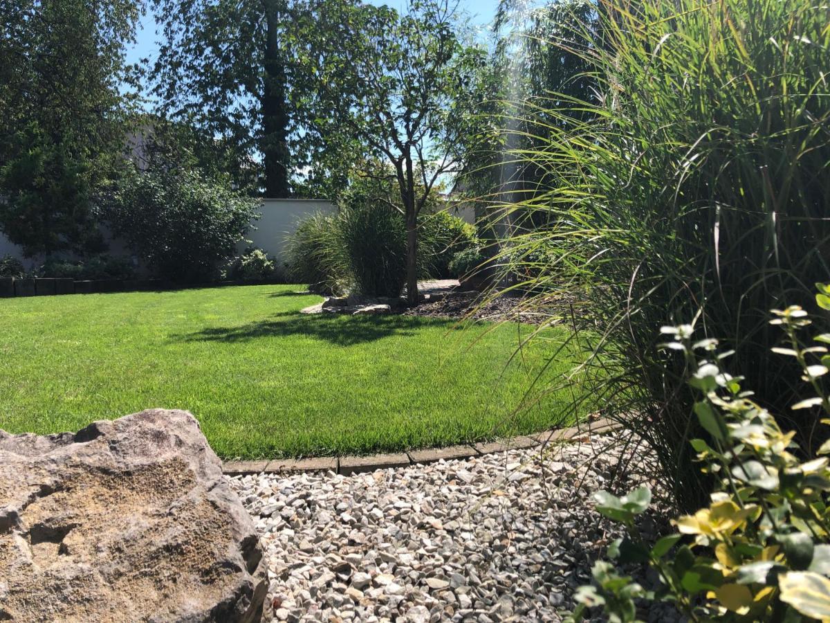 Bed & Breakfast Maison D Hotes Coeur De Village Alsace & 3*